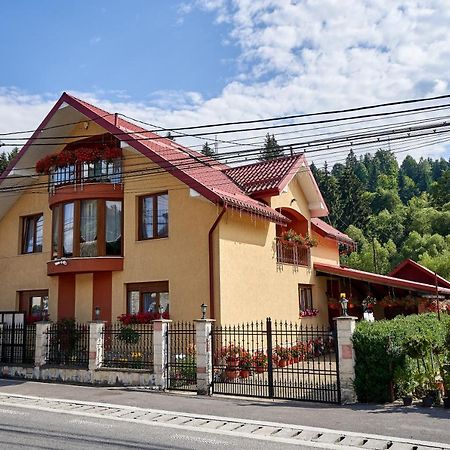 Casa Cu Flori Moisei Hotel Ngoại thất bức ảnh