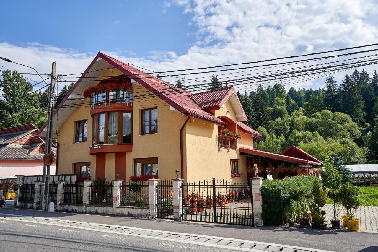 Casa Cu Flori Moisei Hotel Ngoại thất bức ảnh