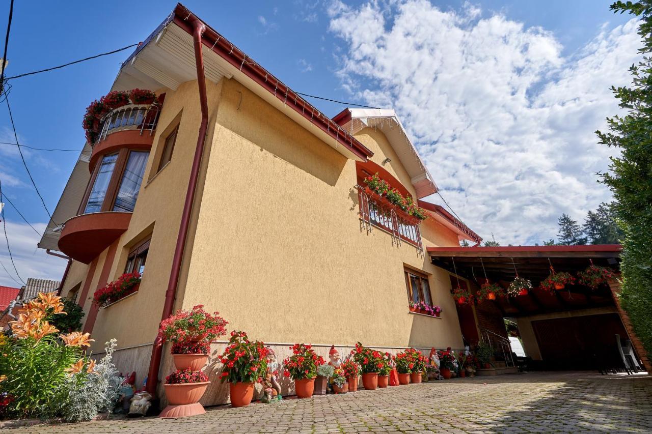 Casa Cu Flori Moisei Hotel Ngoại thất bức ảnh