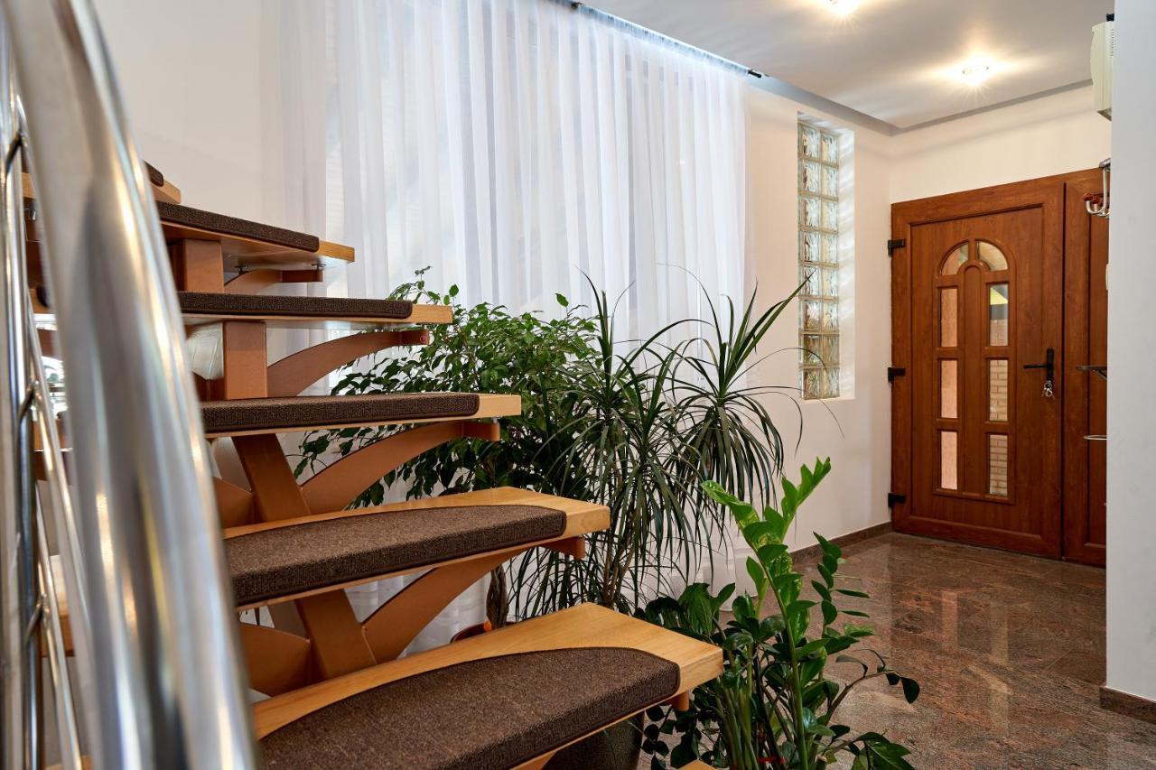 Casa Cu Flori Moisei Hotel Ngoại thất bức ảnh