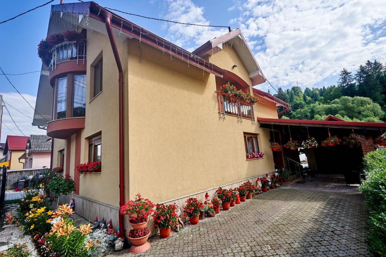 Casa Cu Flori Moisei Hotel Ngoại thất bức ảnh