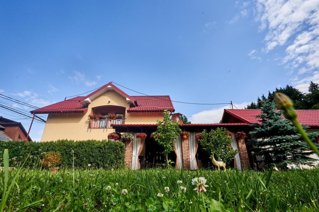 Casa Cu Flori Moisei Hotel Ngoại thất bức ảnh